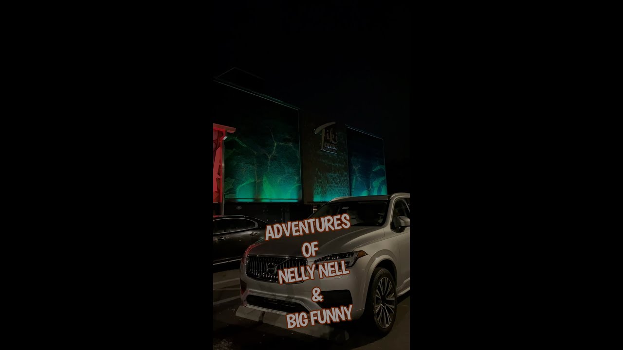 TIKI DOCKS BAR & GRILL - RIVERVIEW, FLORIDA - ADVENTURES OF NELLY NELL & BIG FUNNY