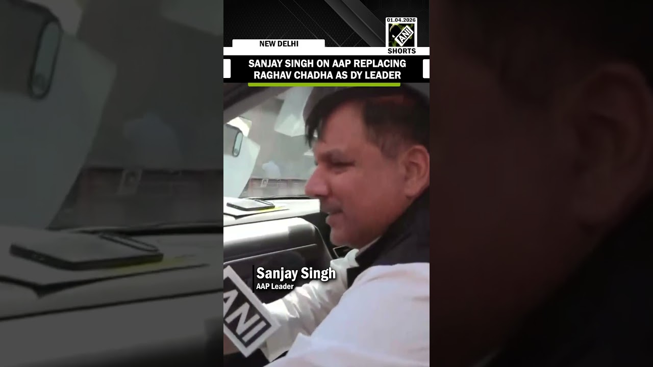 AAP Leader Sanjay Singh on removal of Raghav Chadha as Deputy Leader