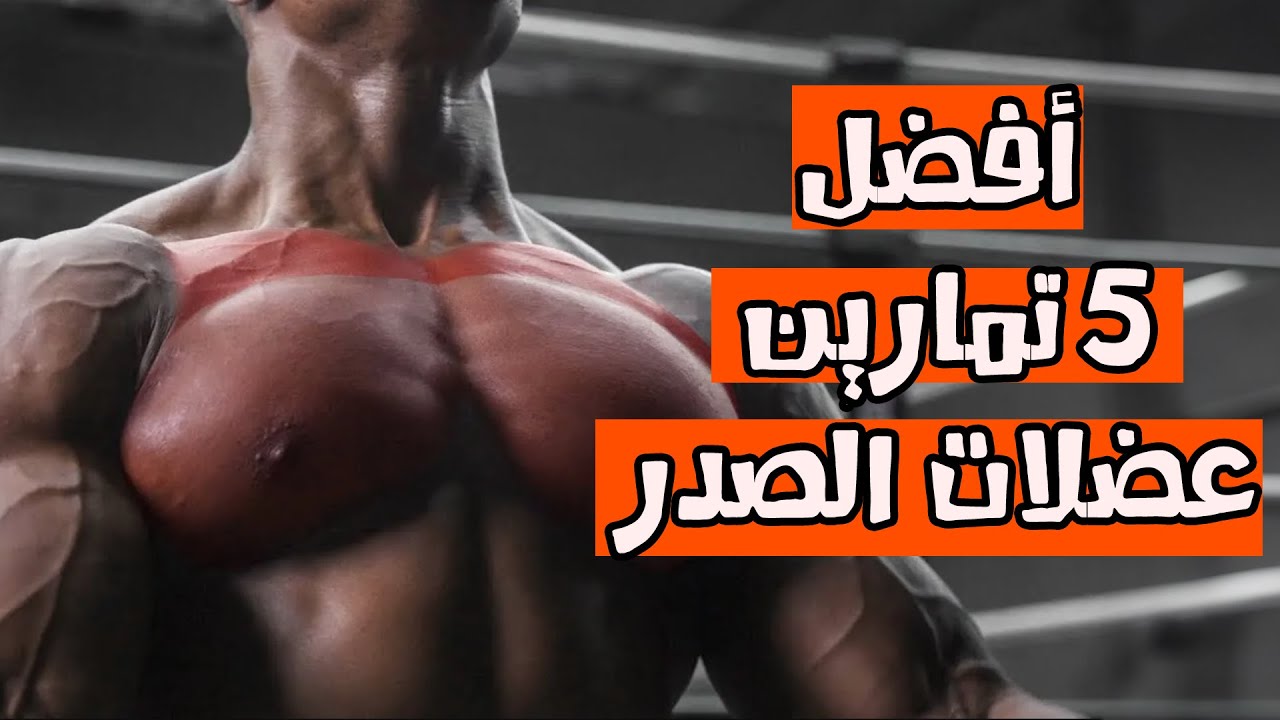 تمارين الصدر في الجيم | أفضل 5 تمارين لتضخيم عضلات الصدر