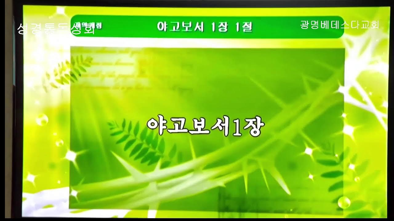 [설날성경통독성회]딤전~히브리서