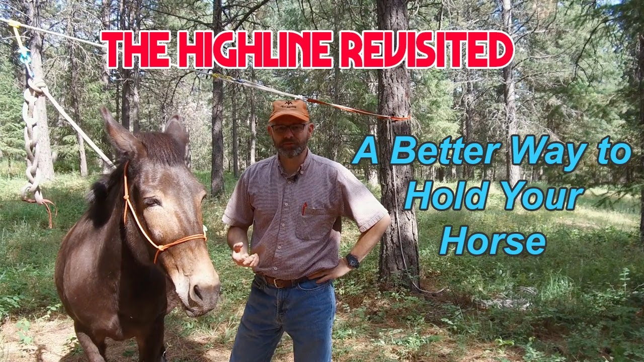 A better way to hold your horse. How to set up a highline for horse camping