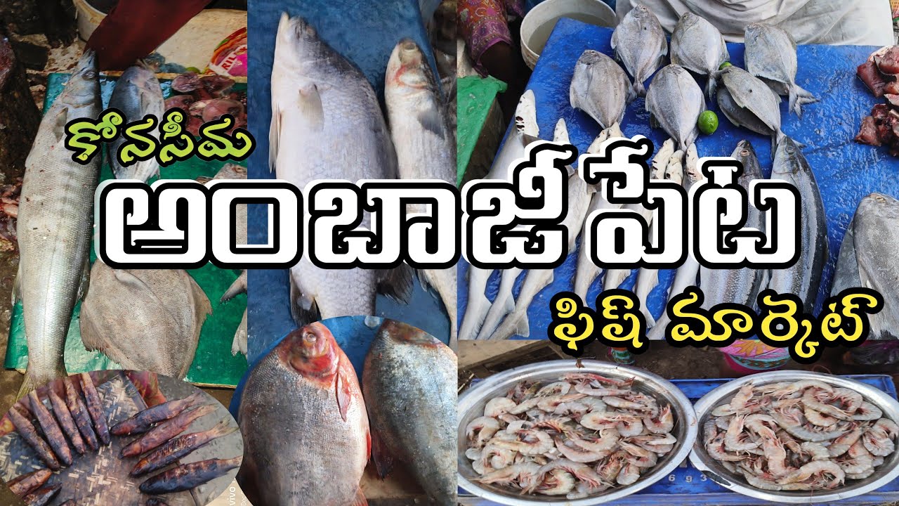 Ambejipeta Fish Market ||అంబాజీపేట ఫిష్ మార్కెట్🐠🐠🐟🐟|| సంత|| ambejipeta mandal konaseema district