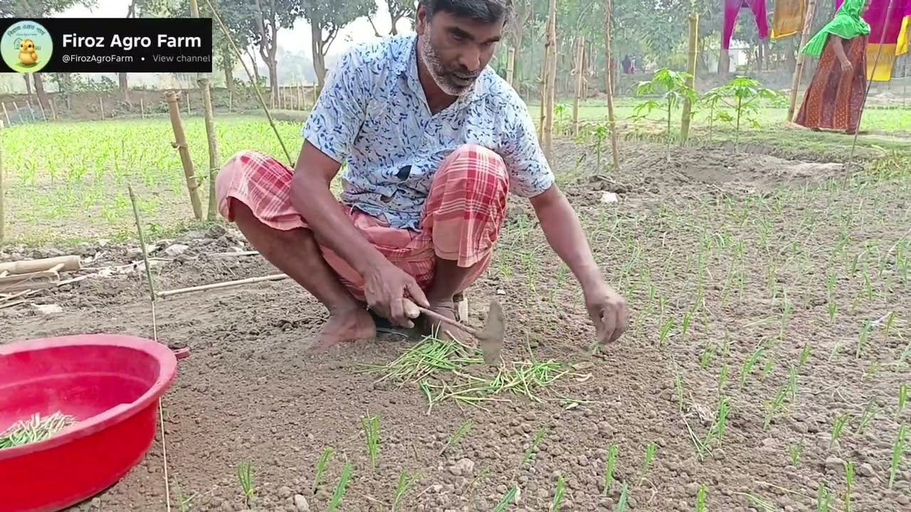 পোল লাগাচ্ছেন মিনহাজ উদ্দিন 