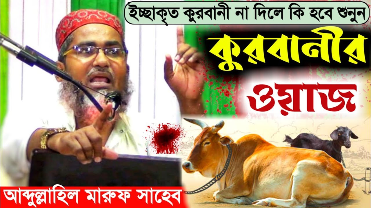 কুরবানী না দিলে ঈদগাহে যাওয়া নিষেধ┇আব্দুল্লাহিল মারুফ সাহেব┇Abdullah hil maruf Saheb┇Maruf Sahebwaz