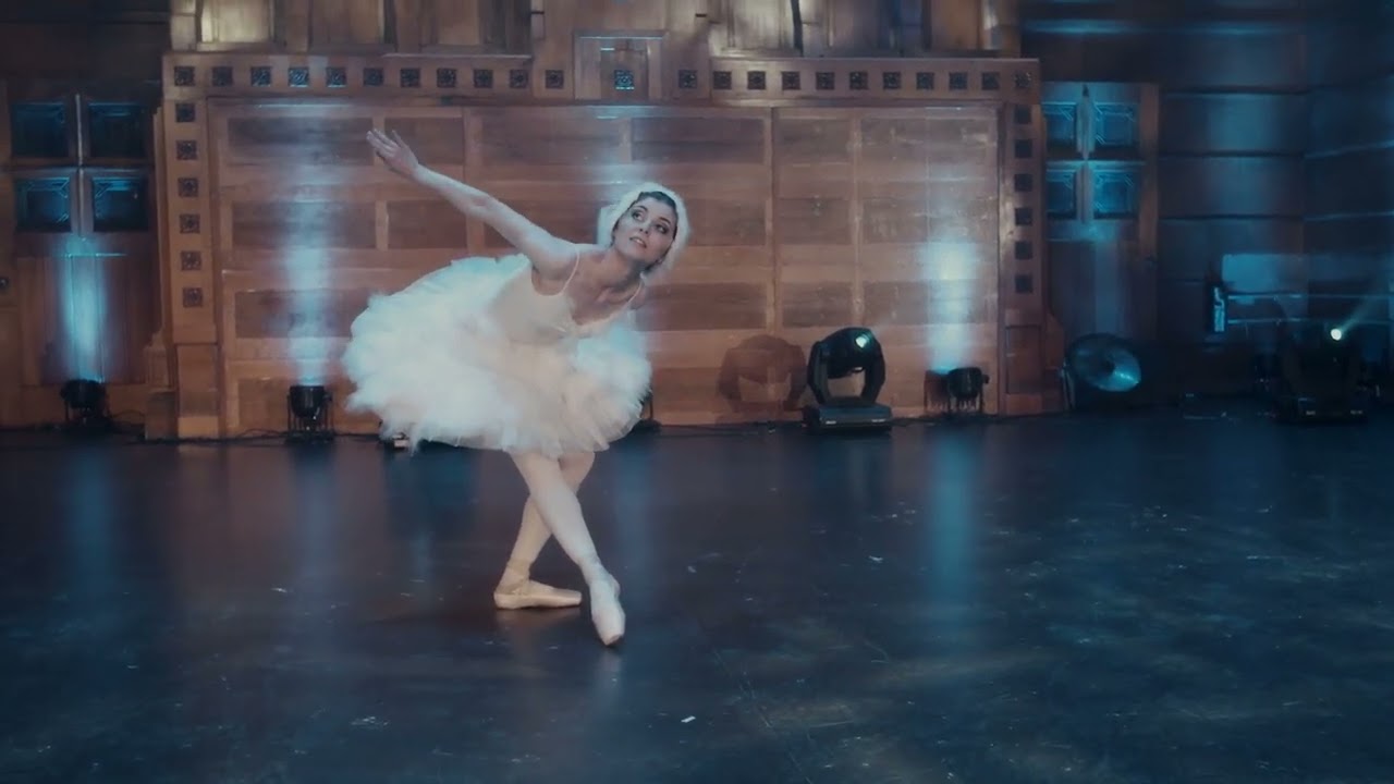 Ballet Toussaint Dying Swan (Paola)
