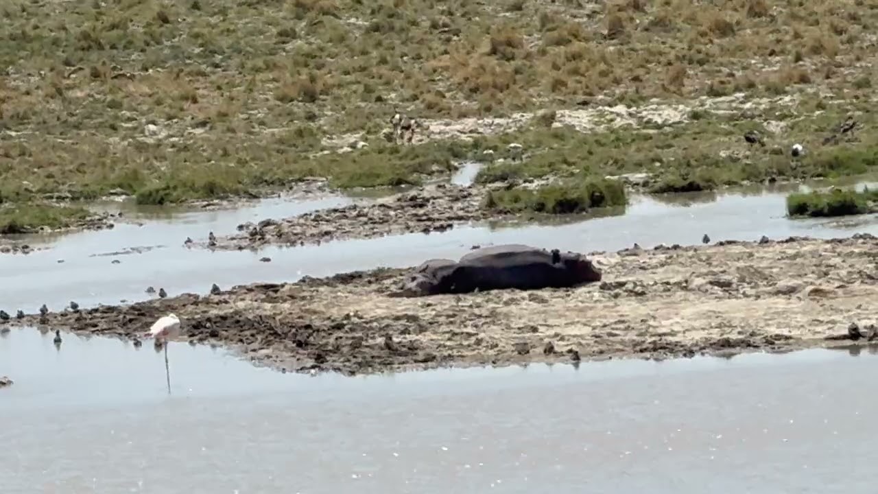 Ngorongoro Tanzania