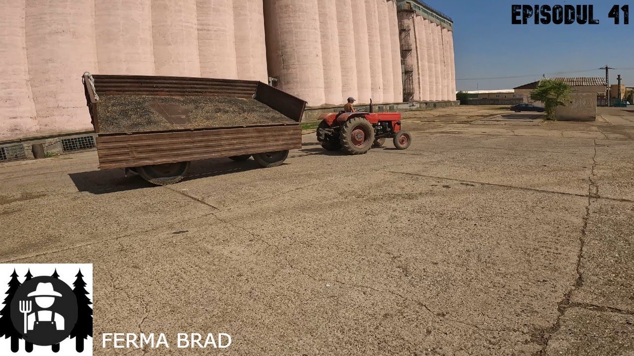 Vindem floarea soarelui (S-A BLOCAT TRACTORUL)