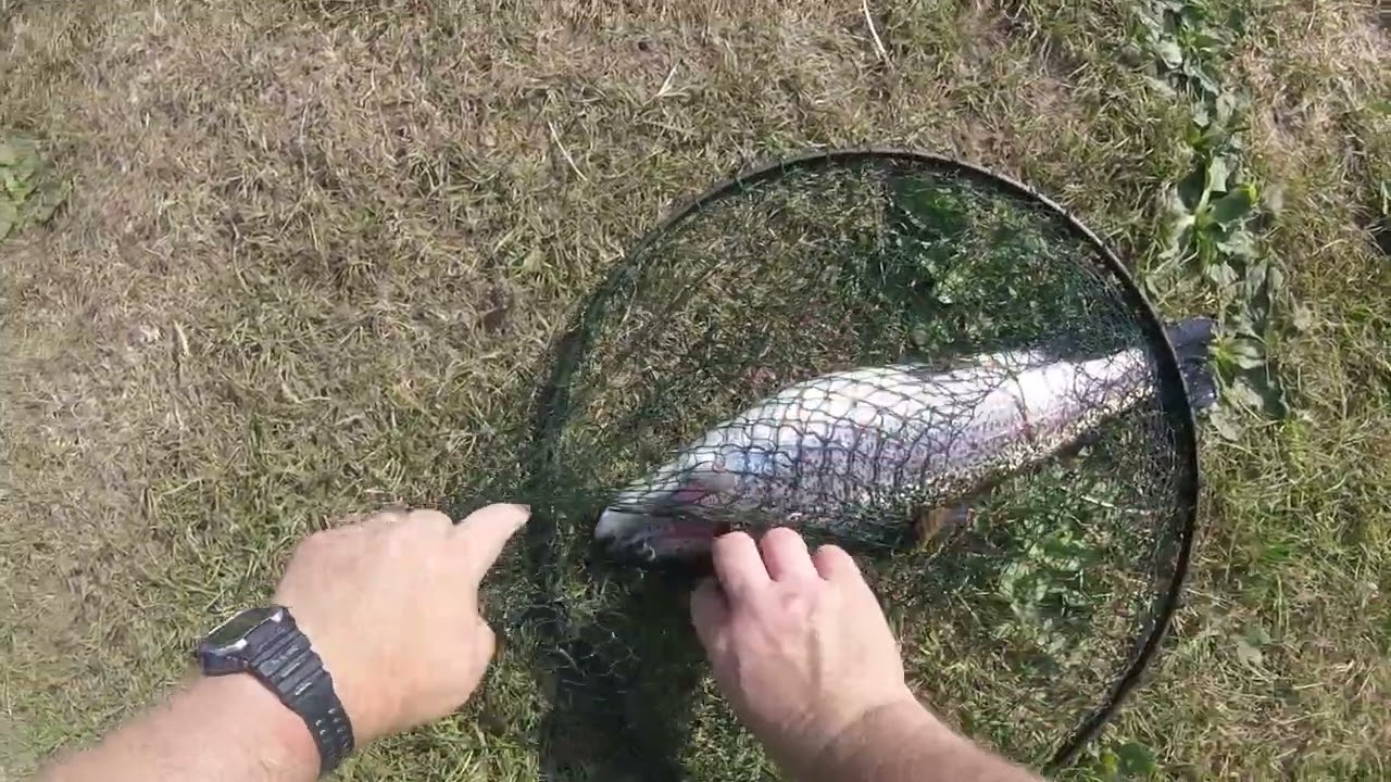 #flyfishing Rockbourne #troutfishing 3 fish 3 flies. 