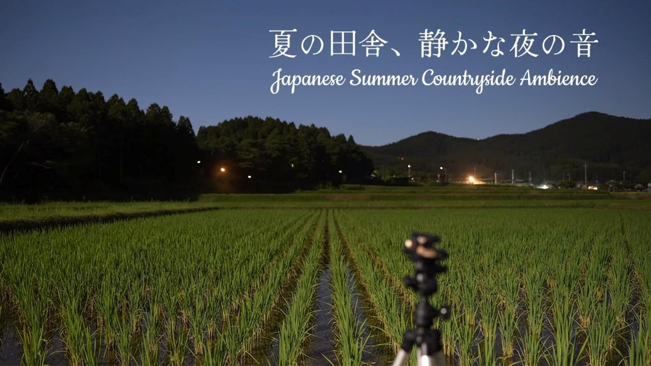 【睡眠/作業用】夏の田舎、静かな夜の音 | Japanese Summer Countryside Ambience