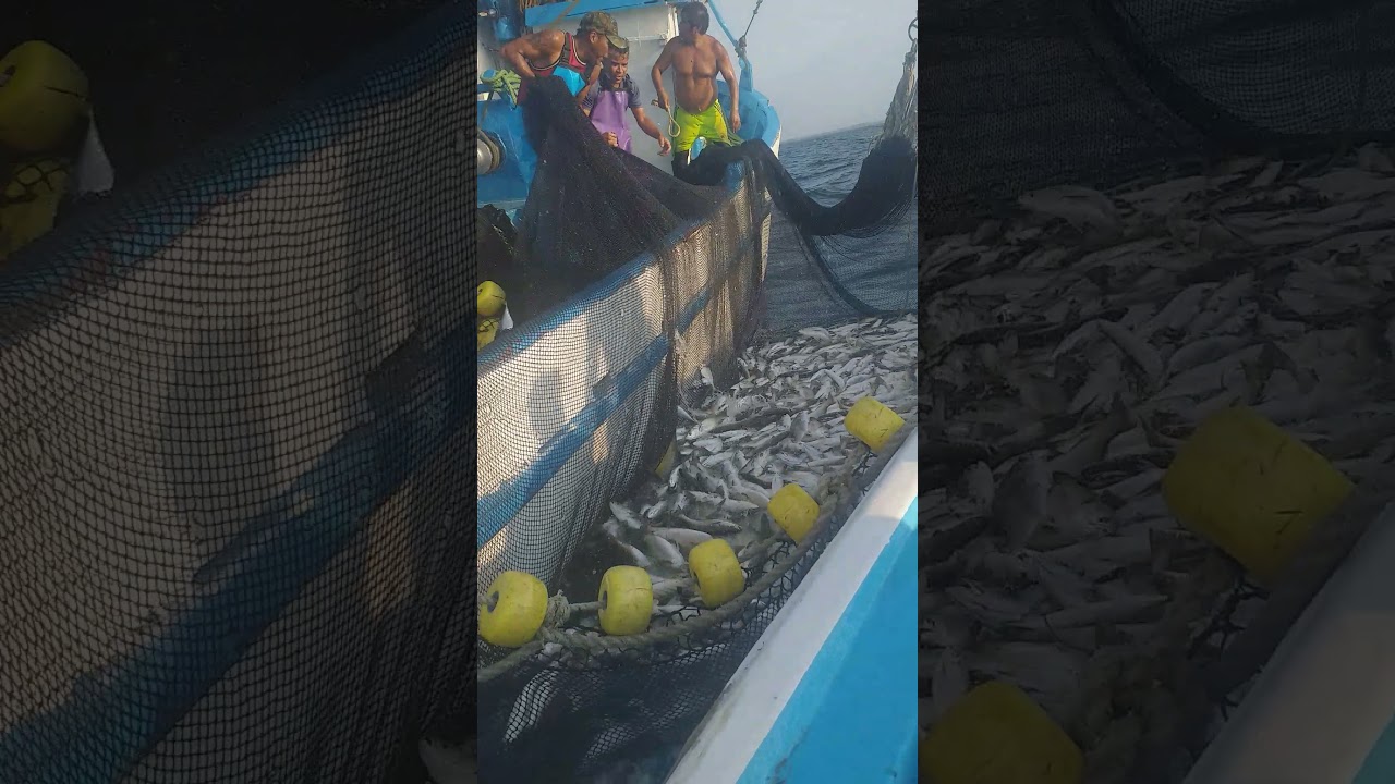 pesca  de Cachema