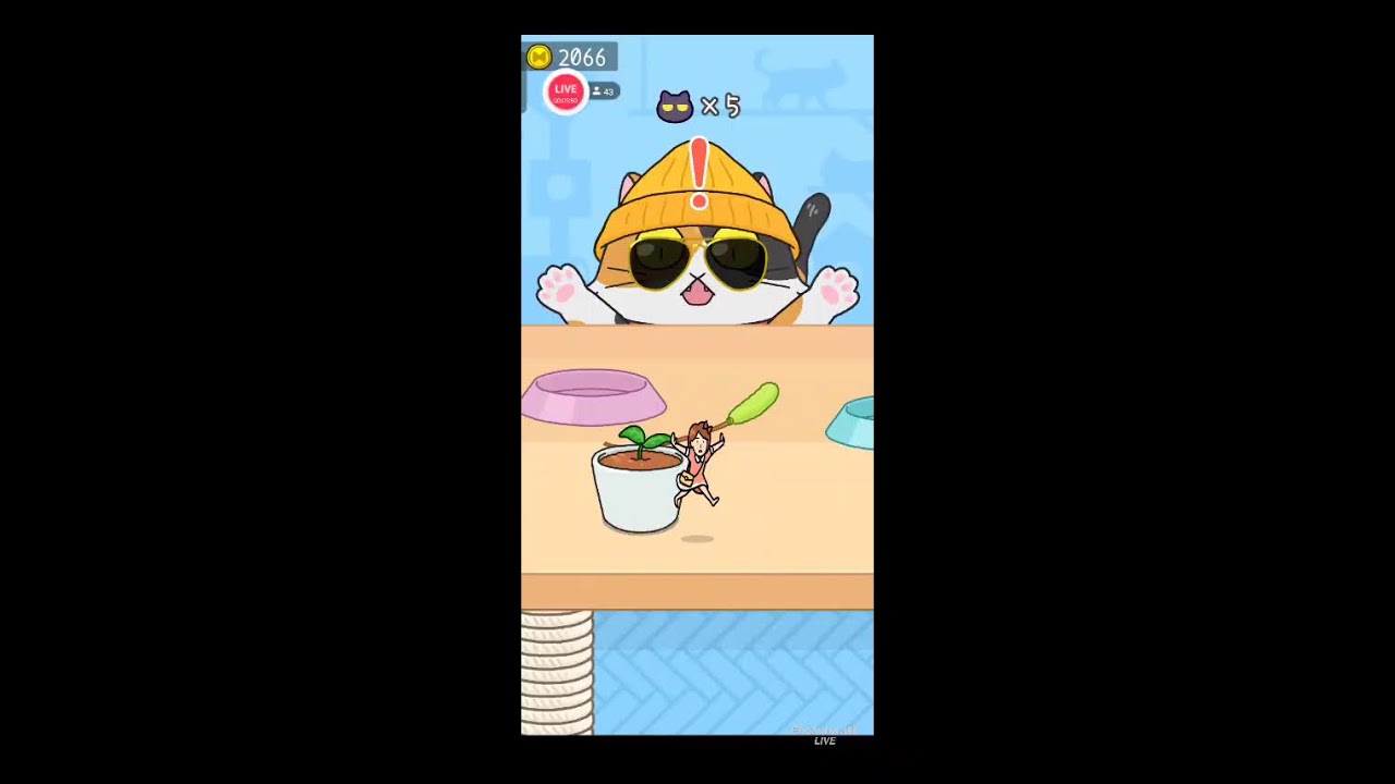 LIVE🔴 CAT ESCAPE 28 #liveshorts #games #livegame