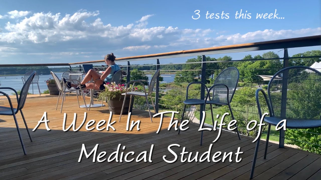 Week in Medical School | first 3 assessments
