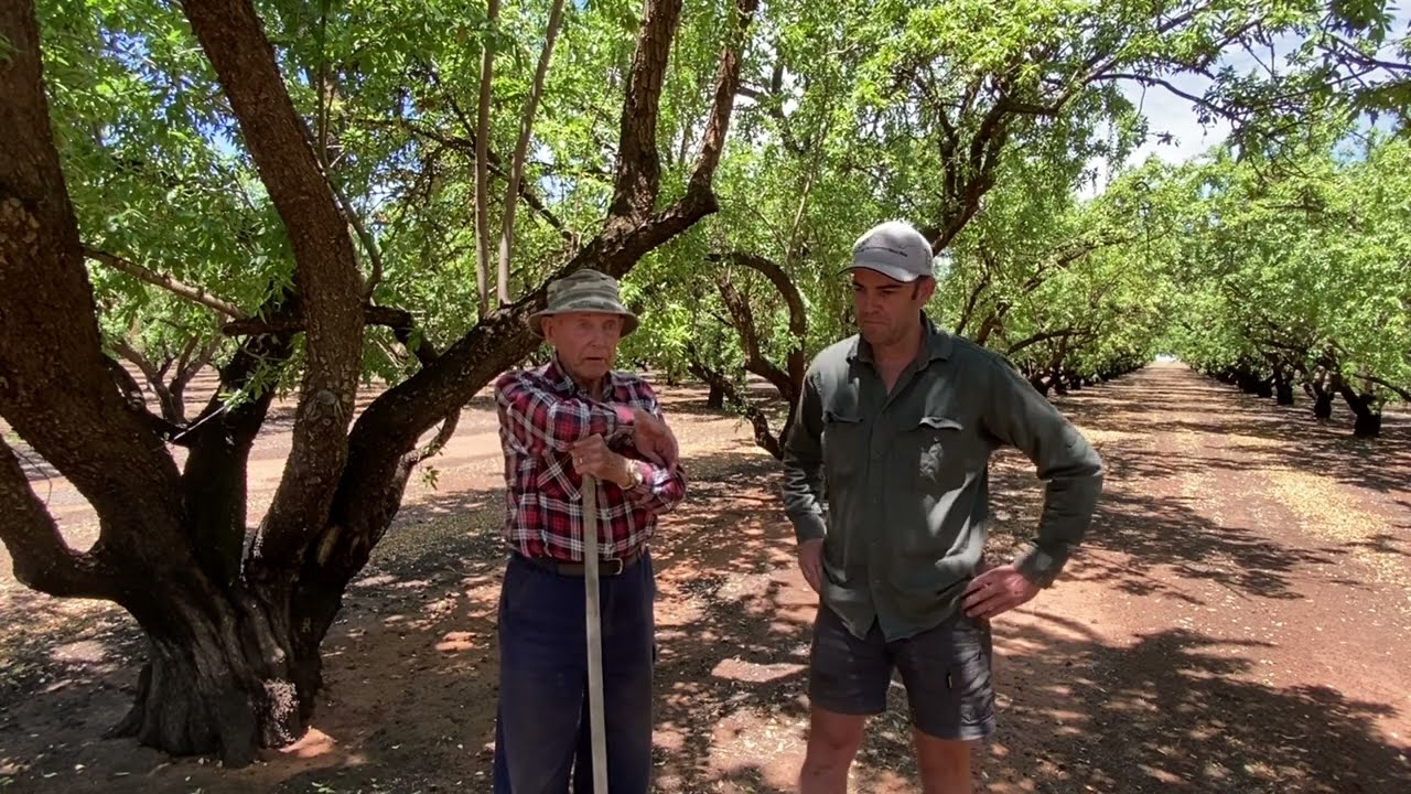 Ted and Patrick Woods, Nildottie, SA