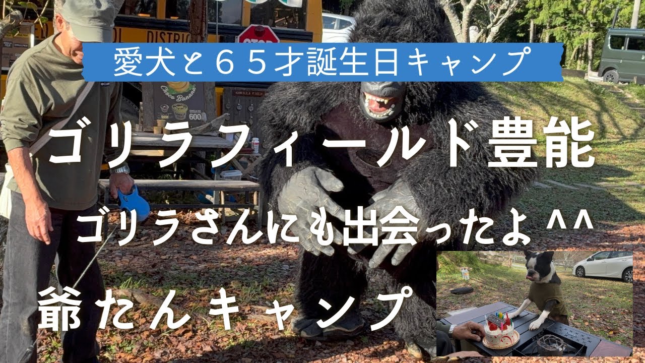 2025年10月26日
