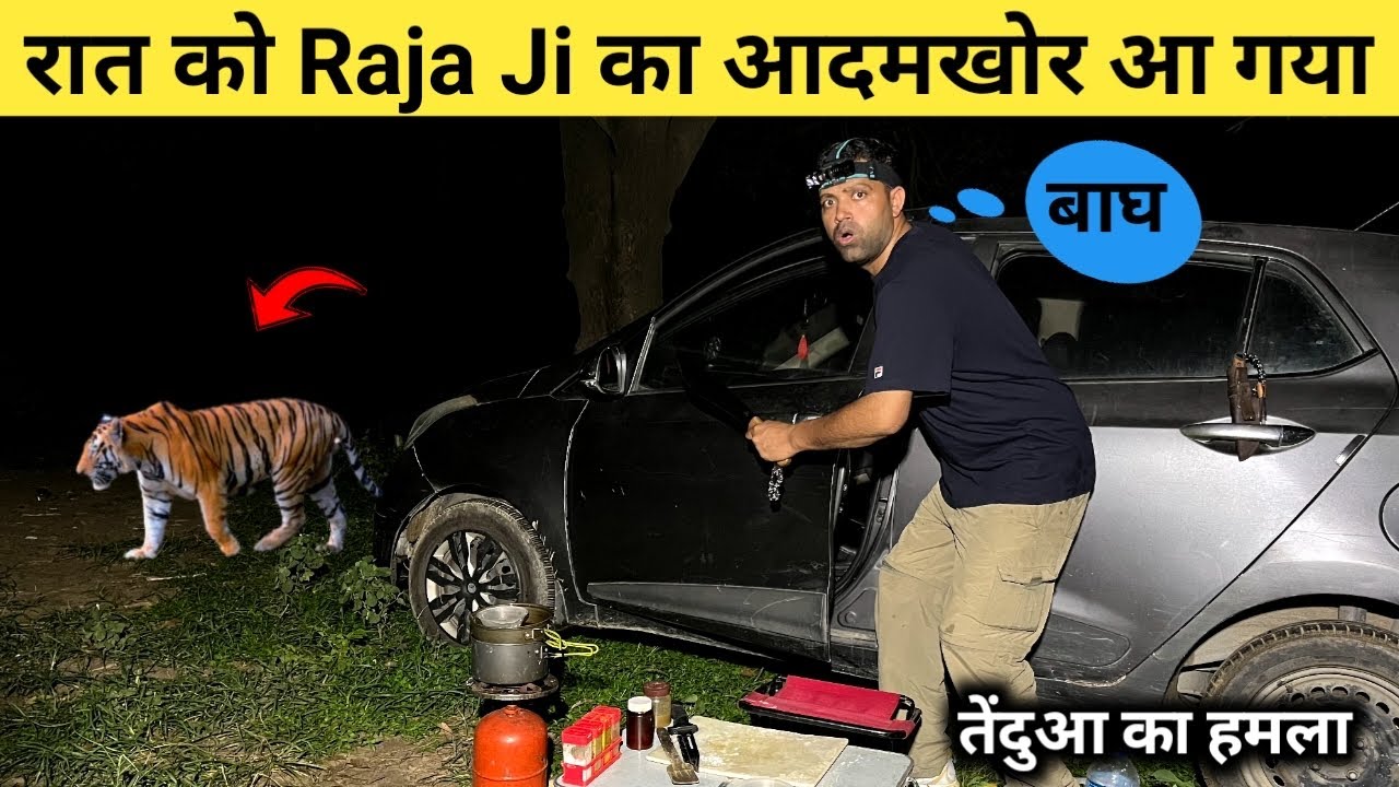 रात को Raja ji आदमखोर आ गया Solo Night Camping in Forest RajajiNationalParkJungleCampingVideoInIndia