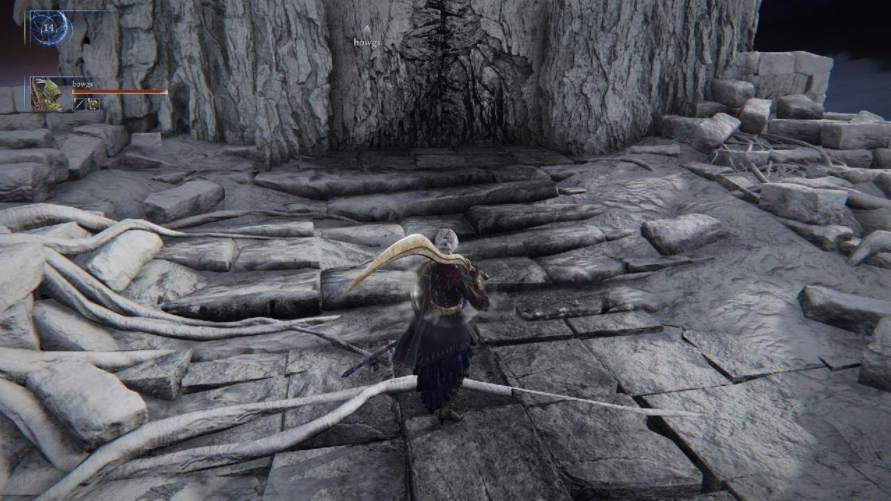 ELDEN RING NIGHTREIGN Deep of Night Raider w/ BOWGS and random VS Everdark Caligo