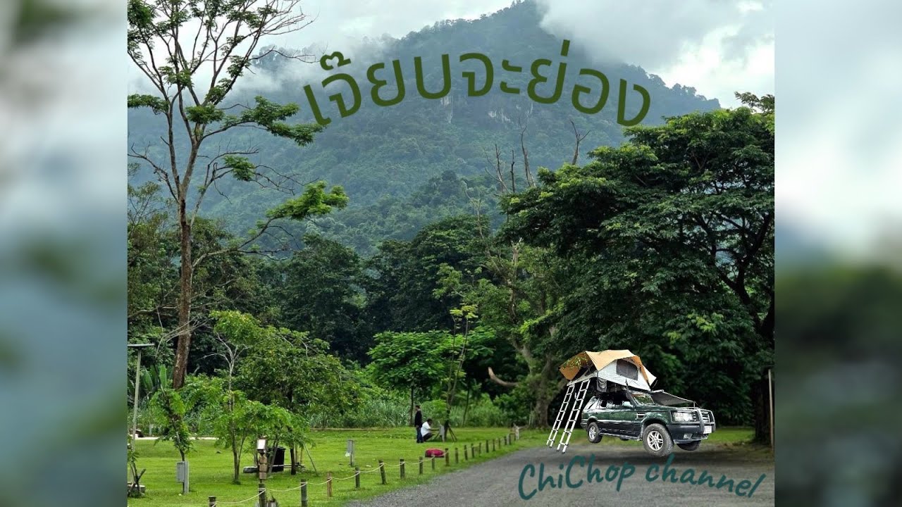 เจี๊ยบจะย่อง Bamboo Base Camp #นครนายก #กางเต็นท์ริมน้ำ #อาหาร #wine #steak #ribeye #redwine #asmr