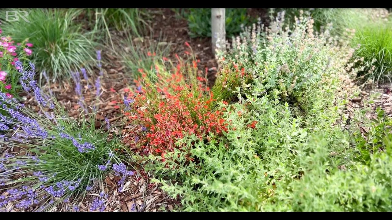 Basic Xeriscaping Irrigation Tips and Tricks | Big Rock Premium Landscaping And Design