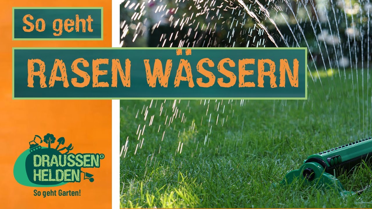 So geht Rasen wässern
