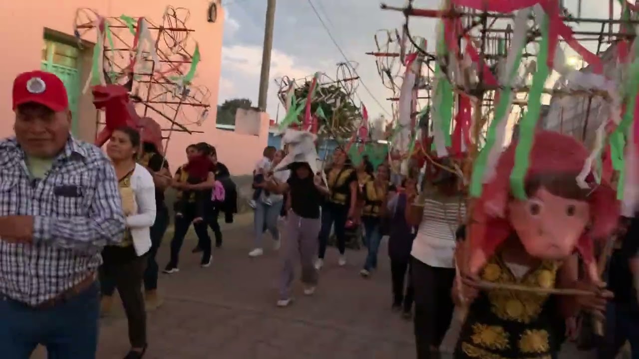Llevando los Toritos a la iglesia .