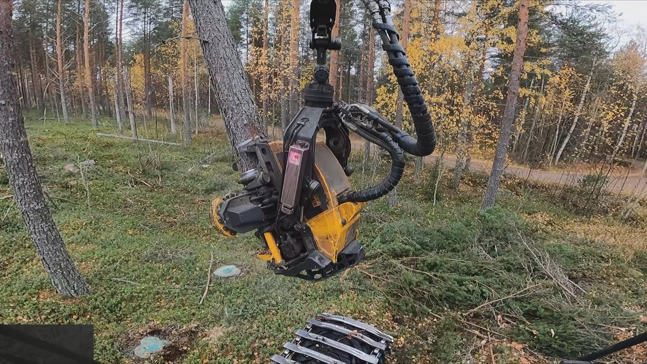 Jatkoa edelliseen videoon. Tässä oli jo paremman kokoisia mäntyjä. Ponsse Scorpion K H7 AC FC