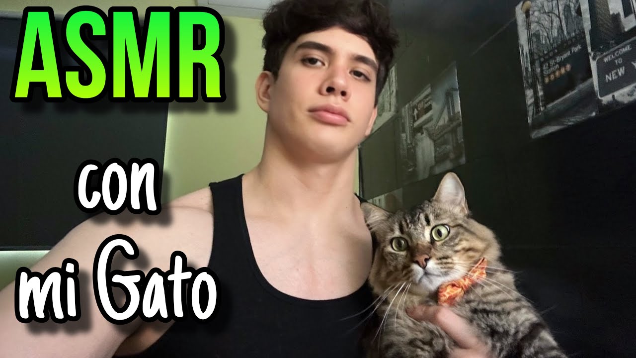 ASMR | Masaje a mi gato 🐾✨