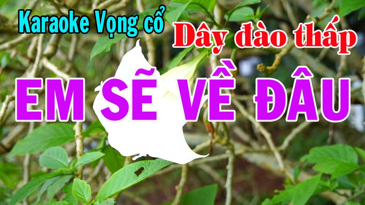 Karaoke vọng cổ EM SẼ VỀ ĐÂU - DÂY ĐÀO THẤP