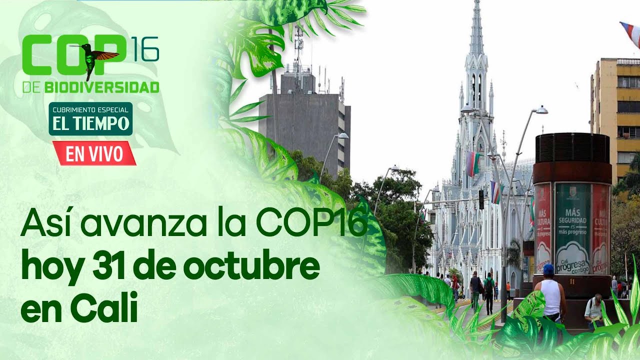 Así avanza la COP16 hoy 31 de octubre en Cali: Pilas a los eventos y más agenda del penúltimo día