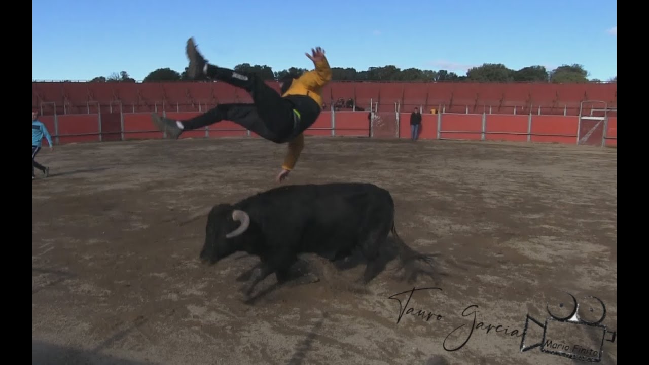 Capea con 2 toros en Ganaderia Quintas