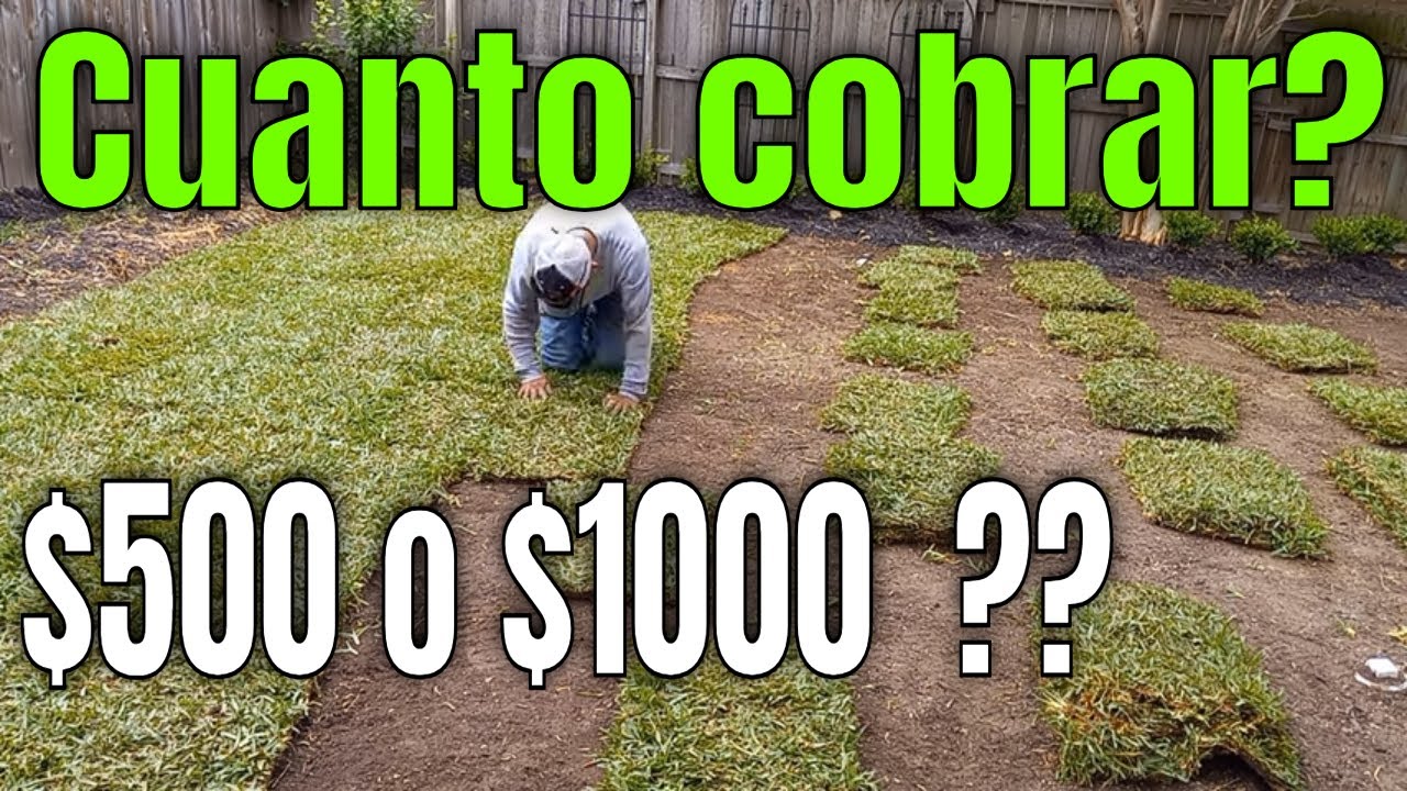 Como instalar pasto san agustin o  como poner pasto - OJO SOLO PRINCIPIANTES CON LALO MARTINEZ