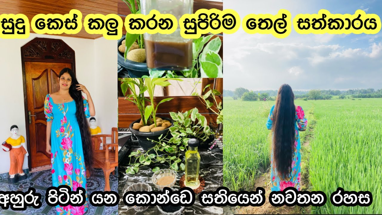 සුදු හිසකෙස් කලු කරන මැජික් එක || Herbal hair oil for faster hair growth || Home made hair oil