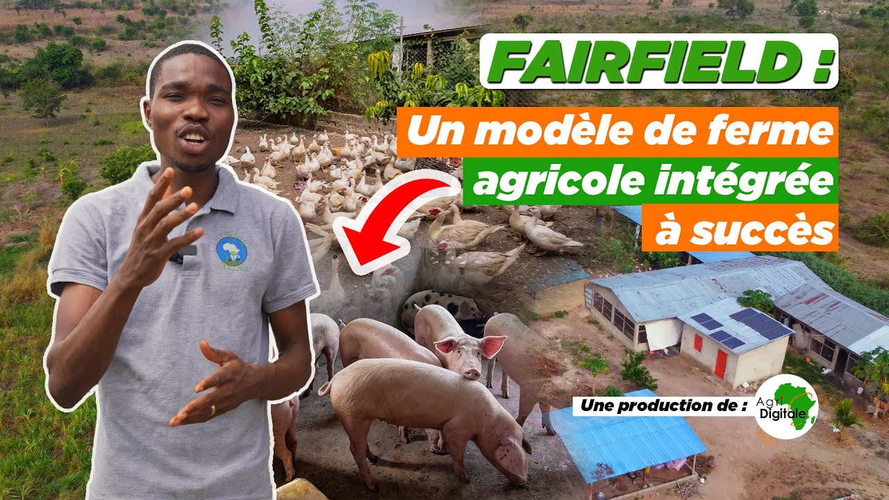 Visite guidée sur une ferme agricole intégrée à Adjigo | Agridigitale