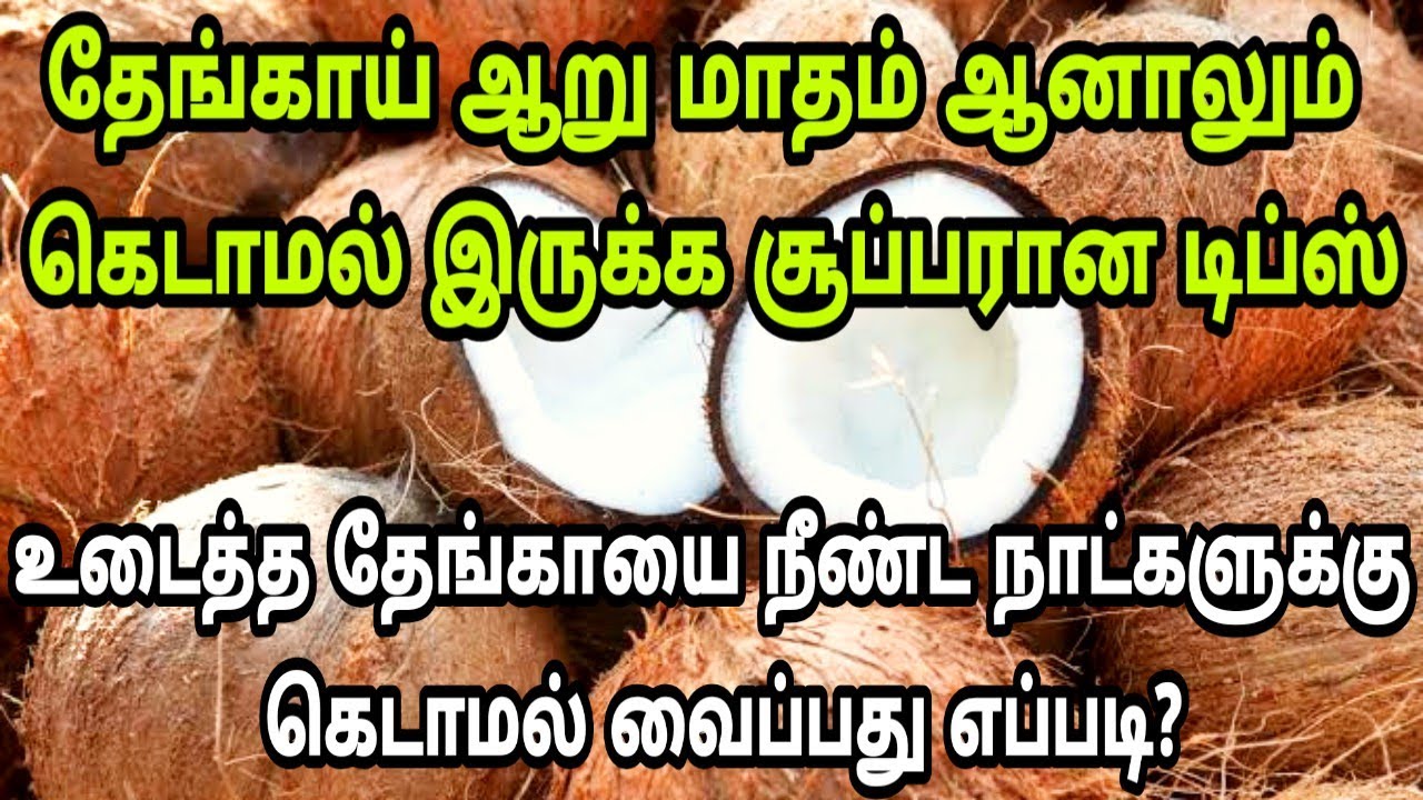 ஃபிரிட்ஜ் இல்லாமலும் தேங்காயை 6 மாதம் வரை கெடாமல் அழுகாமல் வைப்பது எப்படி? | Fathu's Samayal