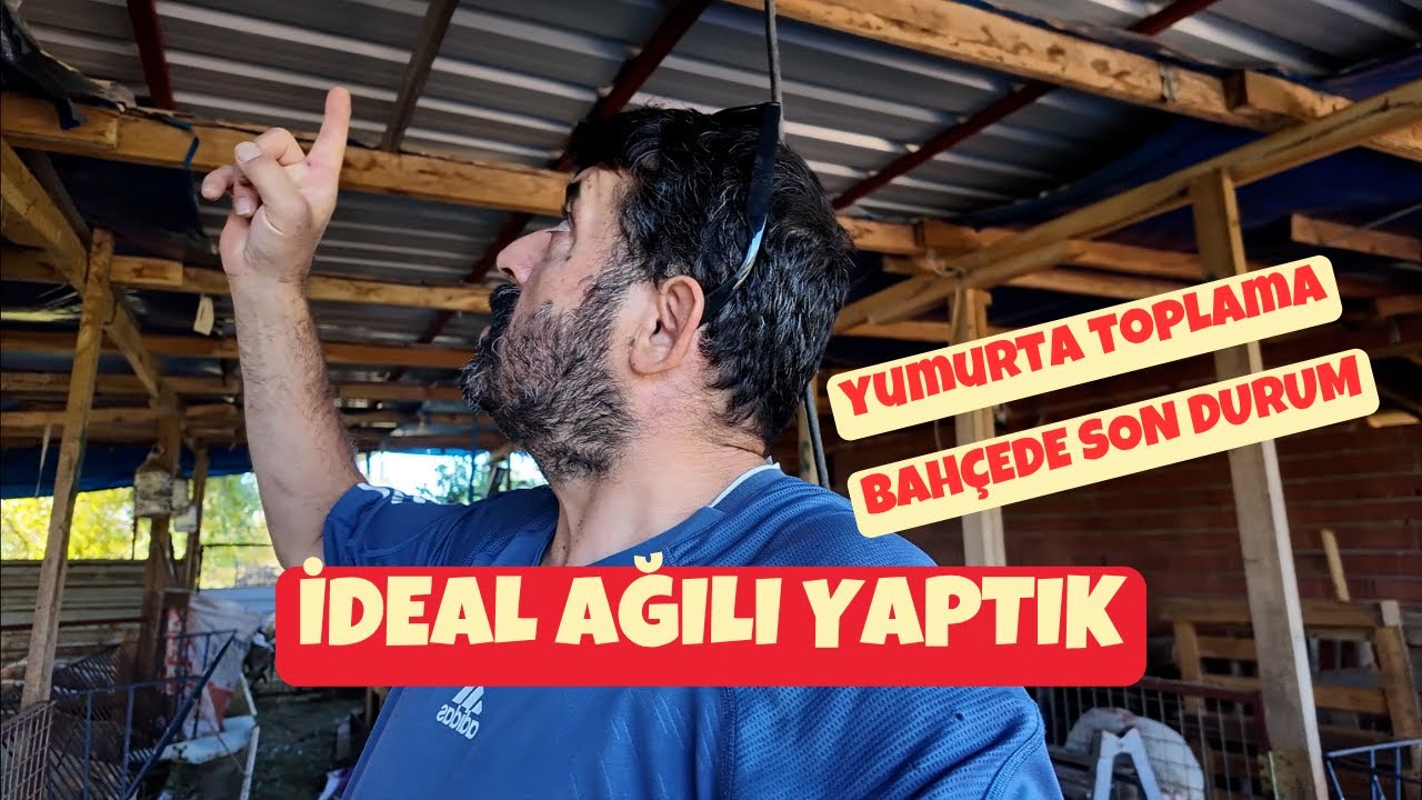 İdeal Koyun Ağılı | Yumurta Toplama | Köye Göç