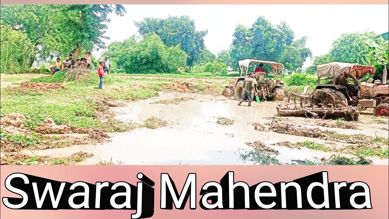 Swaraj and mahender rotabetar
