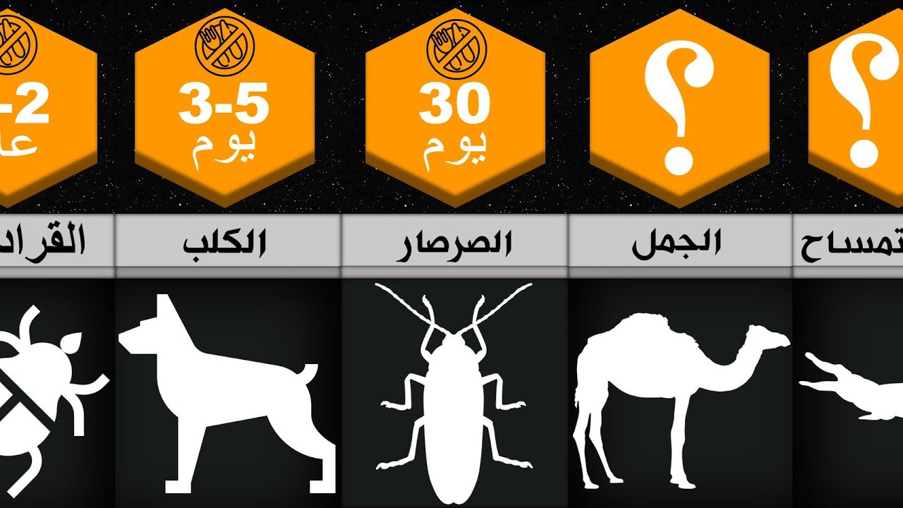 كم من الوقت يمكن للحيوانات البقاء بدون طعام؟ - حيوانات تستطيع البقاء بدون طعام لفترة طويلة