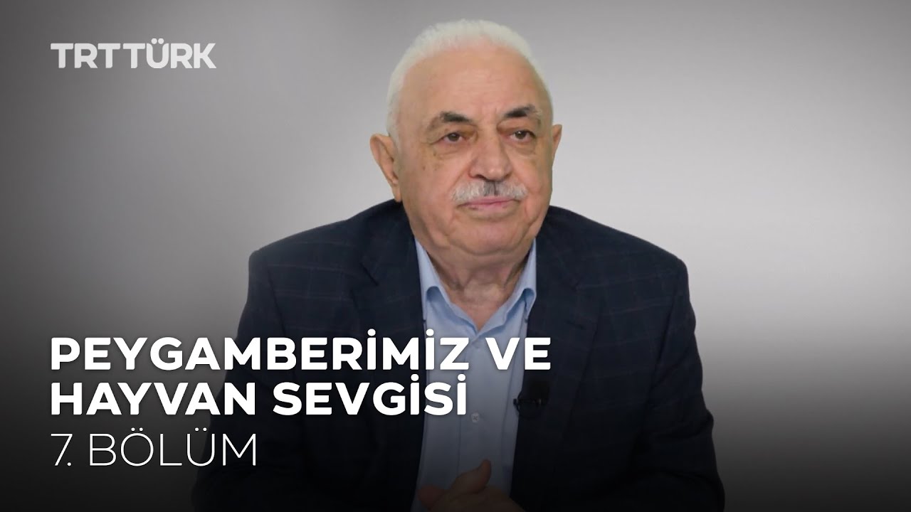 Peygamberimiz ve Hayvan Sevgisi | Mustafa Akgül | Örnek - 7. Bölüm