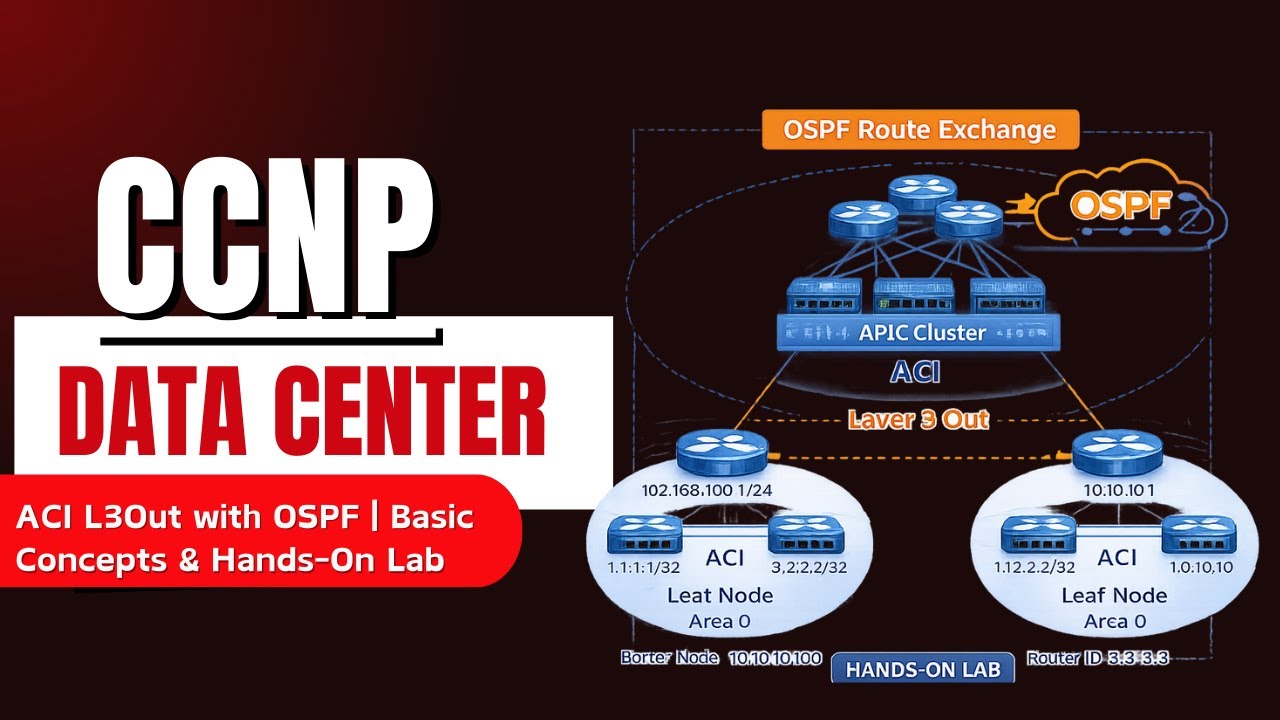 ACI L3Out with OSPF | Basic Concepts & Hands-On Lab