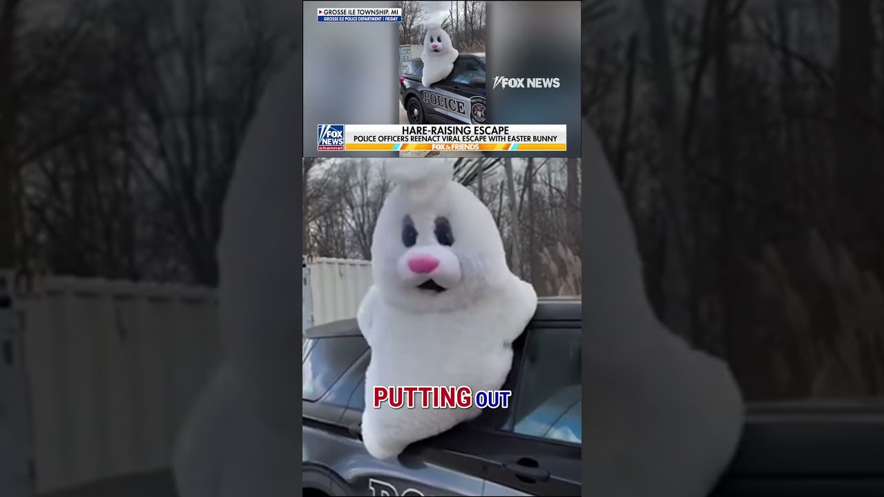 Easter Bunny reenacts VIRAL police car escape #foxnews #news #shorts #police #viral #easter