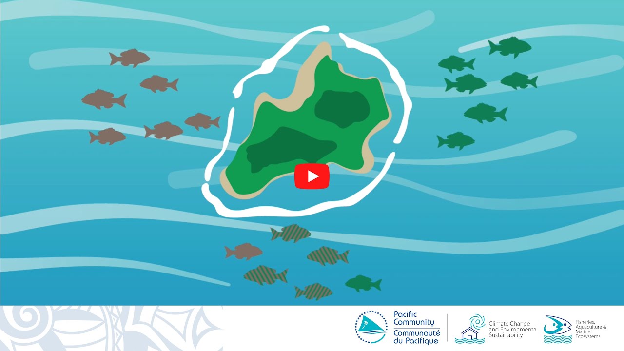 Échantillonnage biologique de poissons récifaux : Intérêt de l’échantillonnage biologique