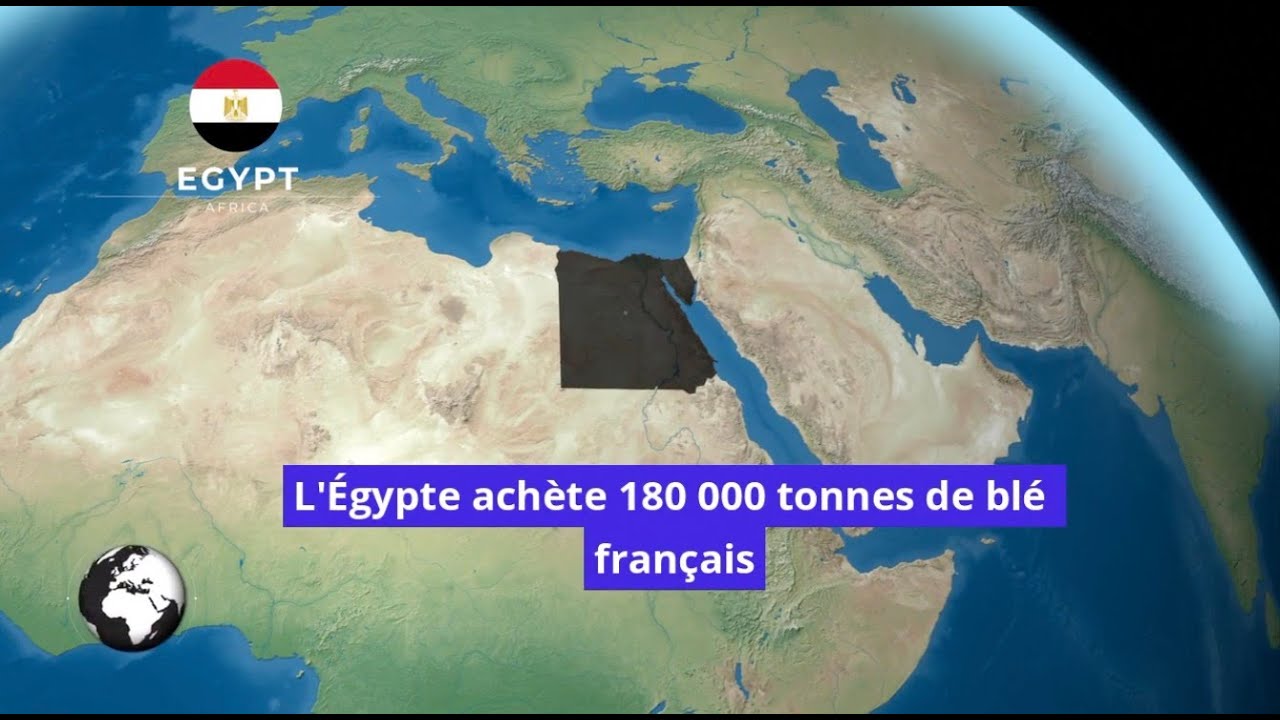 Pourquoi l'Egypte relance l'achat de 180 000 tonnes de blé à la France ? Quels en sont les enjeux ?