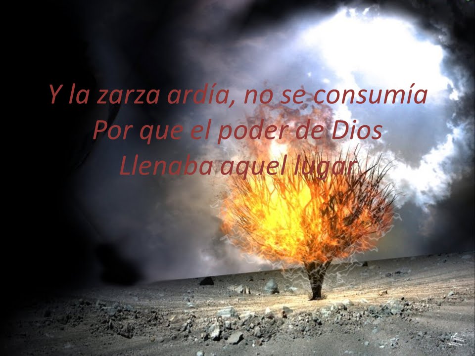 La Zarza ard&iacute;a (Inspiraci&oacute;n Letra)