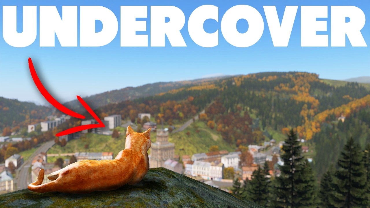 We Went Undercover As A Cat In DayZ