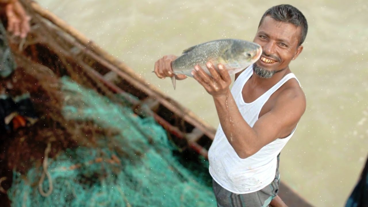 Conserving hilsa and building livelihoods in Bangladesh