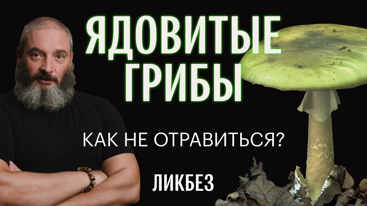 Как отличить съедобные грибы от их ядовитых двойников. Михаил Вишневский