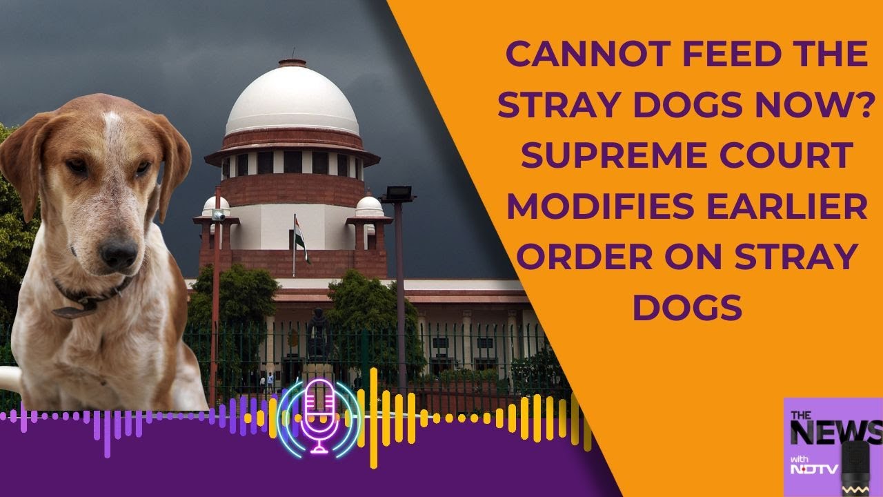 Supreme Court Order On Feeding Dogs | Cannot Feed Stray Dogs Now? SC Modifies Order On Stray Dogs