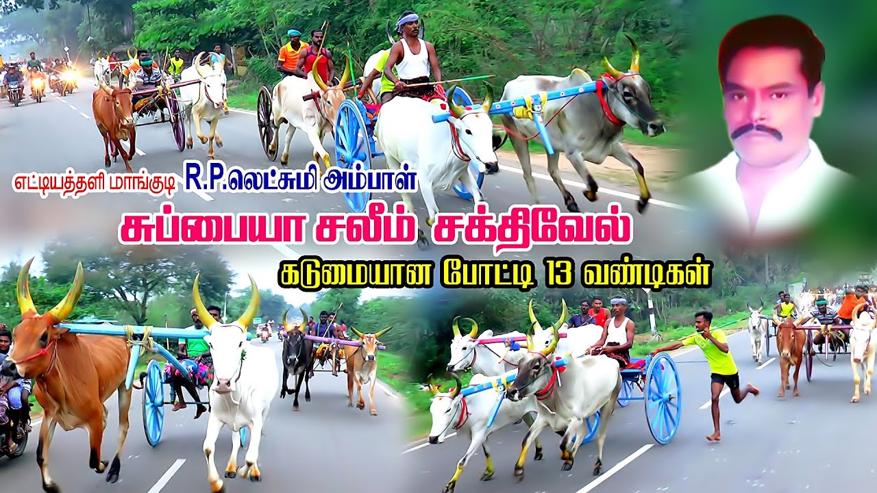 புதுக்கோட்டை (மா) A.ஆறுமுகம் கவுன்சிலர் நினைவாக 8-ம் ஆண்டு பந்தயம் | Perai_raj_studio