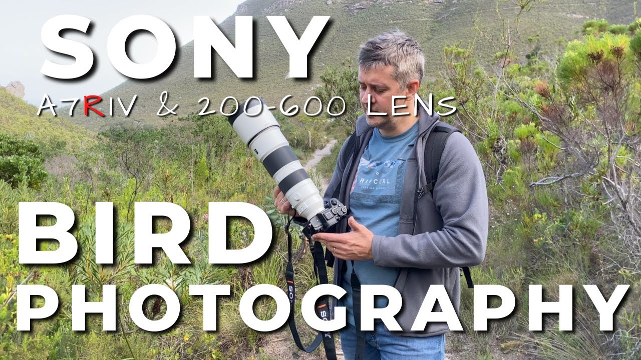 Fernkloof Nature Reserve - Bird Photography using SONY A7R4