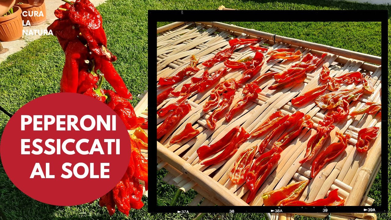 Peperoni Essiccati al Sole, Tutti gli accorgimenti per farli al meglio.