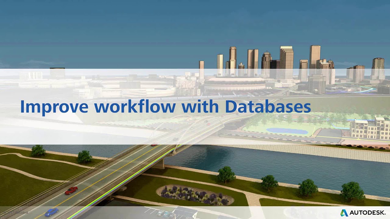 Customization of Moldflow Synergy and Insight
